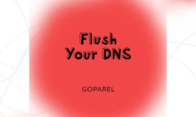 Flushing Your DNS