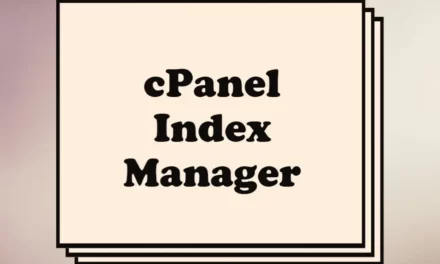 Using the Index Manager